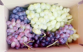 ƴ������С�ɰ���