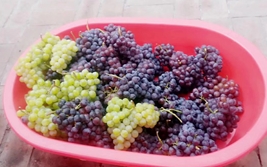 ƴ������С�ɰ���